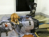 Pension_5
