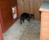 Pension_6