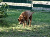 Pension_11