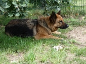Pension_120