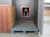 Pension_13