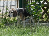 Pension_21