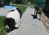 Pension_22