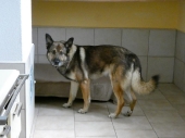 Pension_28