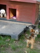 Pension_2