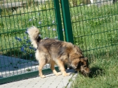 Pension_2