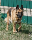 Pension_38