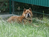 Pension_39