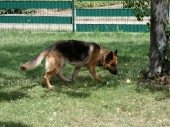 Pension_7