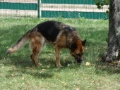 Pension_8