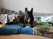 Pension_15