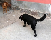 Pension_22