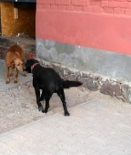 Pension_23