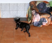Pension_25