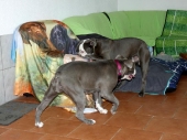 Pension_29