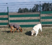 Pension_10