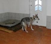 Pension_12