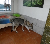 Pension_13