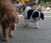 Pension_21