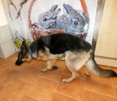 Pension_21