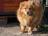 Pension_26