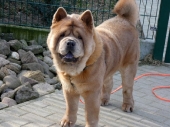 Pension_28