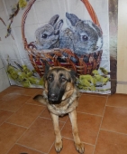 Pension_35