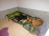 Pension_36