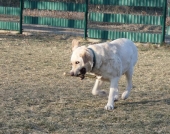 Pension_4