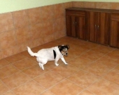 Pension_4