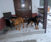 Pension_6