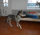 Pension_7