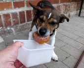 Fütterungszeit _29