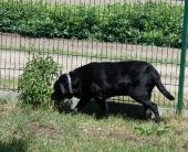 Pension_20