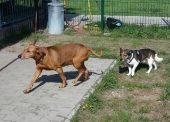 Pension_22