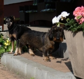 Pension_22