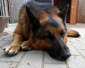 Pension_2