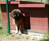 Pension_40