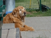 Pension_75