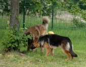 Pension_7