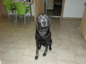 Pension_11