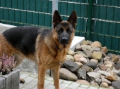Pension_21