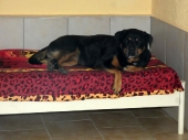 Pension_27