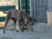 Pension_27
