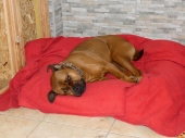 Pension_29