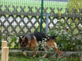 Pension_2