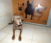 Pension_35