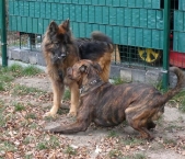 Pension_38