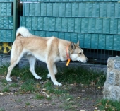 Pension_3