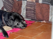Pension_3